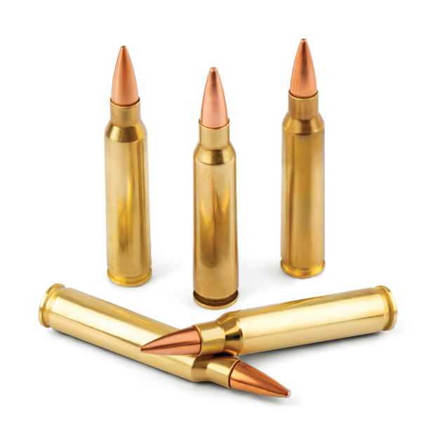 7.62x51 MM