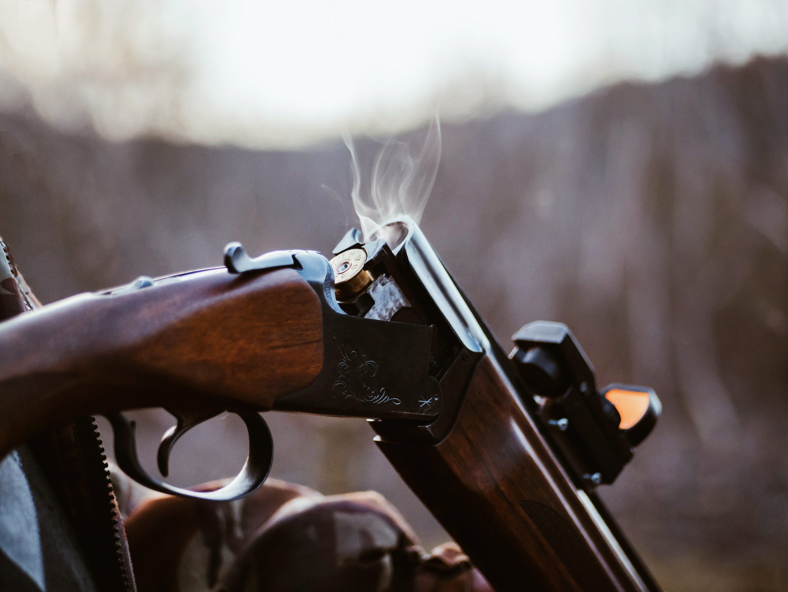 Sport Shooting and Hunting Shotshells - Image 5