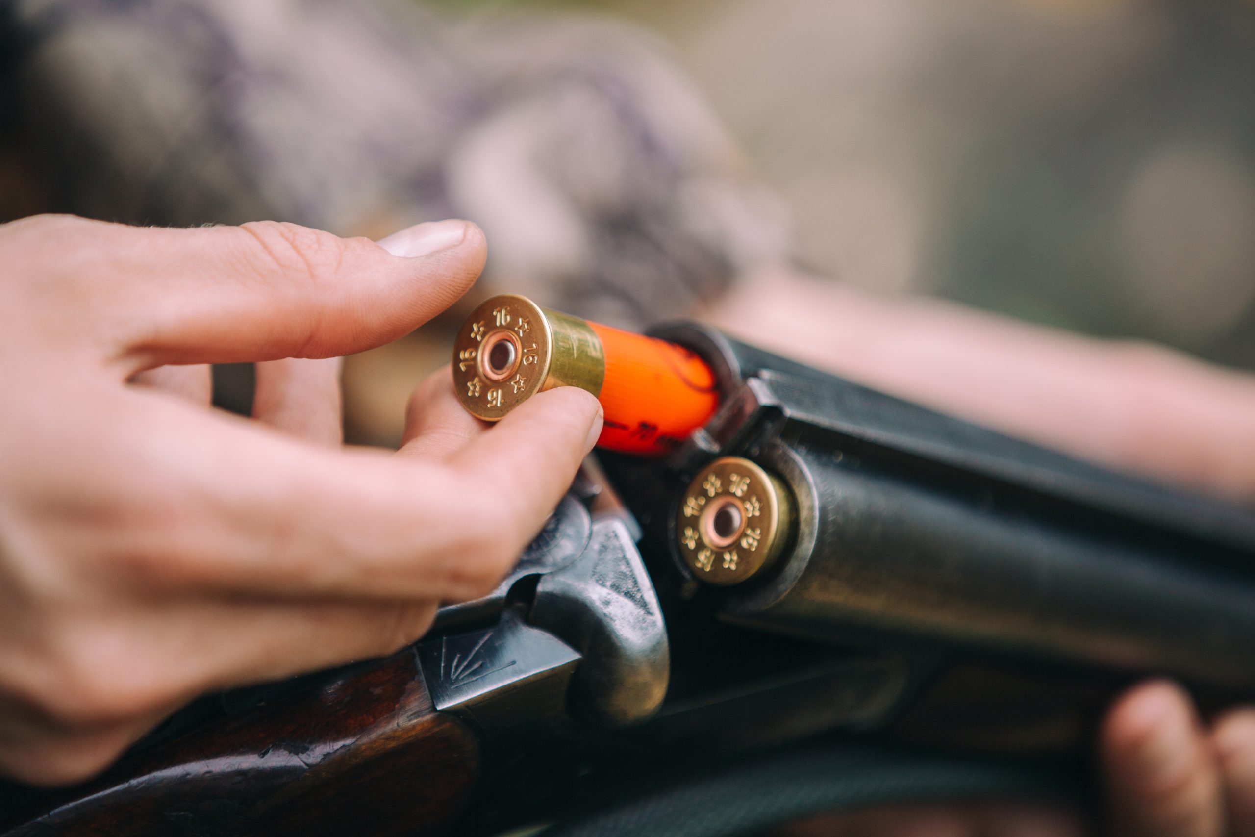 Sport Shooting and Hunting Shotshells - Image 4